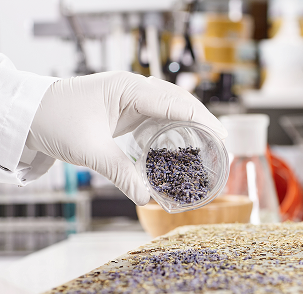 Science-Backed, Synergistic Formula